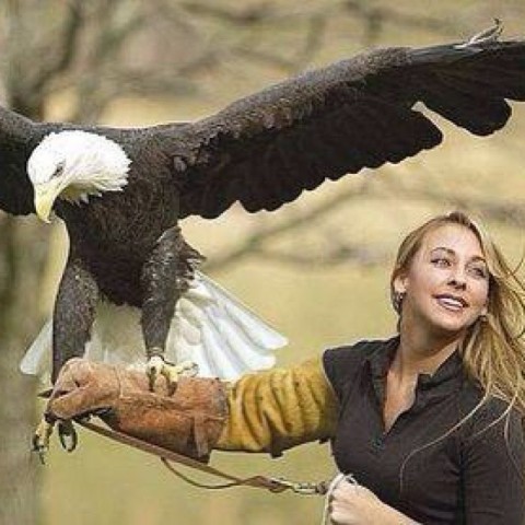 woman holding a bald eagle with its wings extended