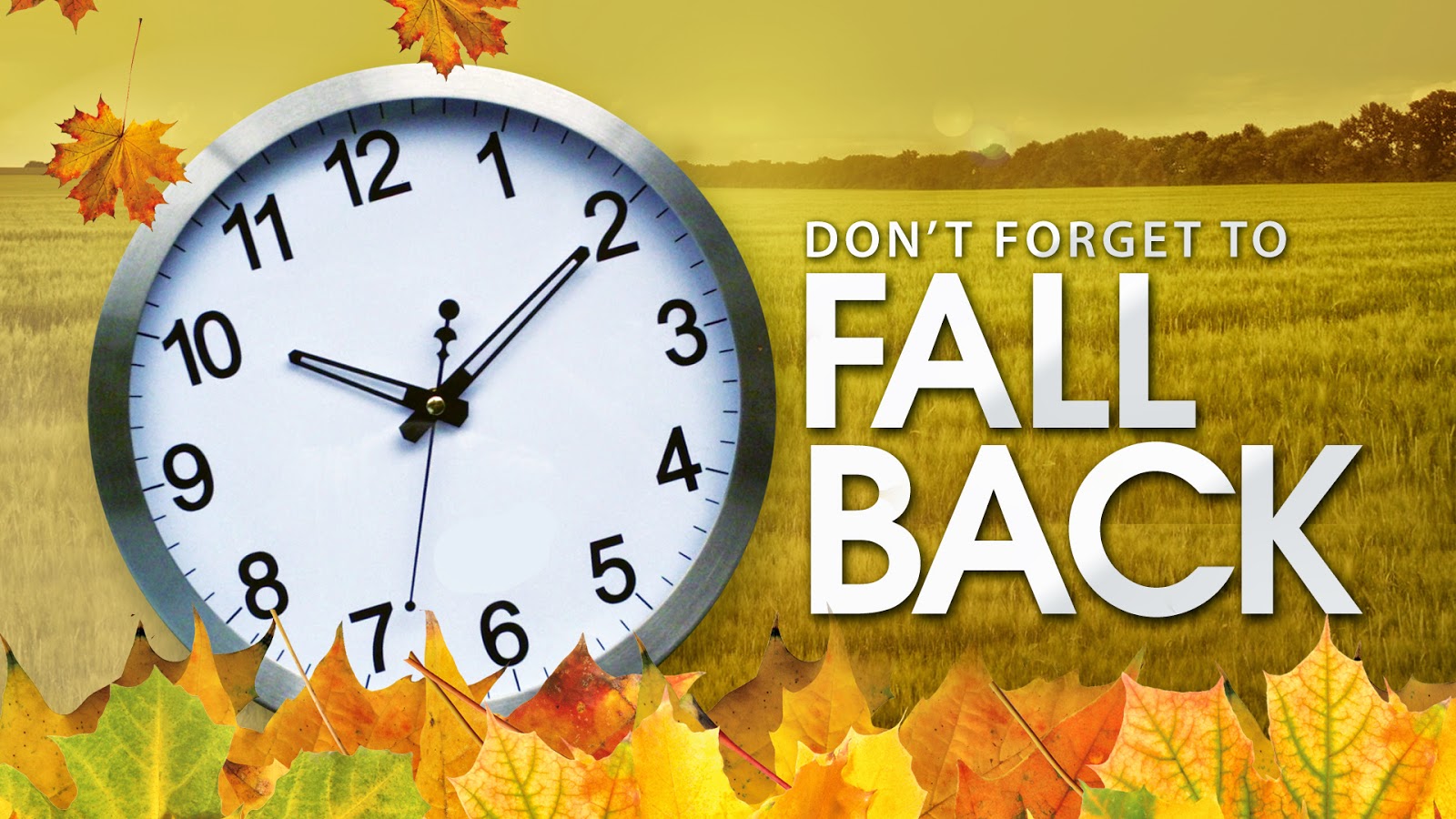 Daylight Savings Time Fall Back 1 Hour Marion County CVB