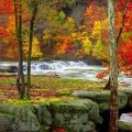 waterfall surrounded by fall leaves