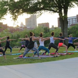 Yoga at Palatine Park