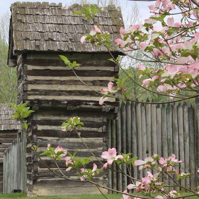 a wooden fort with pink dogwood blooming in the foreground