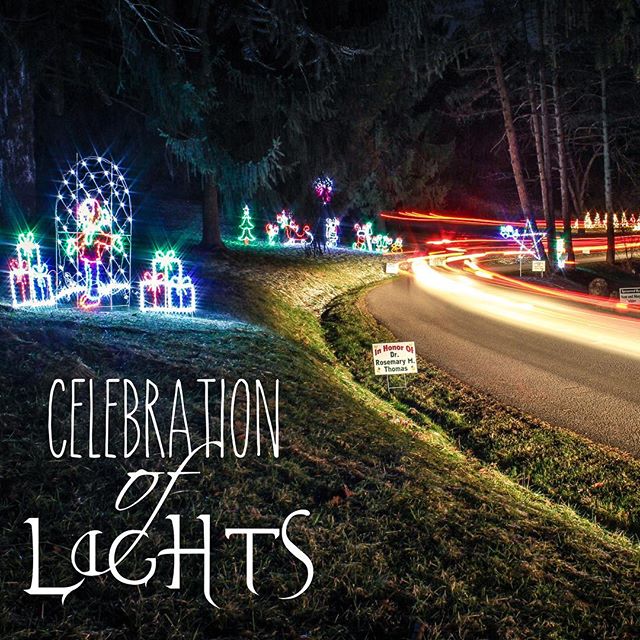 road with holiday lights displayed on either side