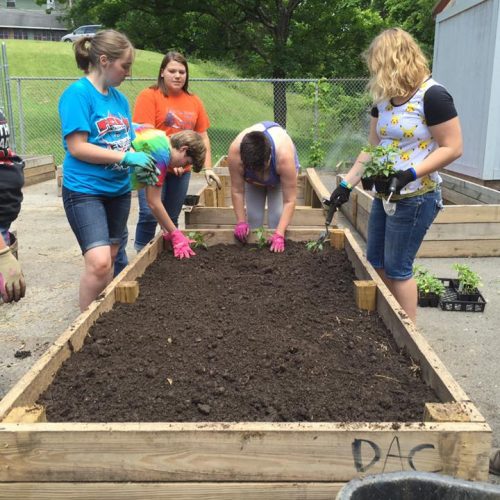 Marion County how does your garden grow? - Marion County CVB : Marion ...