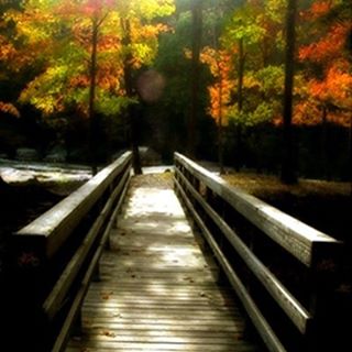 a wooden bridge with fall leaves at the end of the birdge