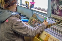 vintage albums at record store