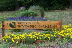 wooden sign at the entrance of the WV Botanic Garden