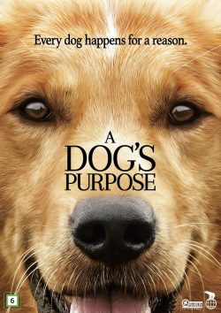 movie poster featuring a dog