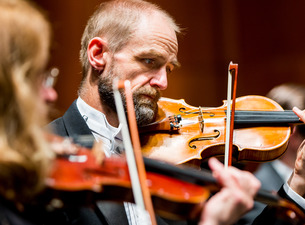 man playing a violin