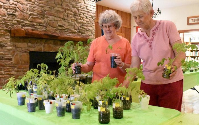2 women sorting through containers of plants