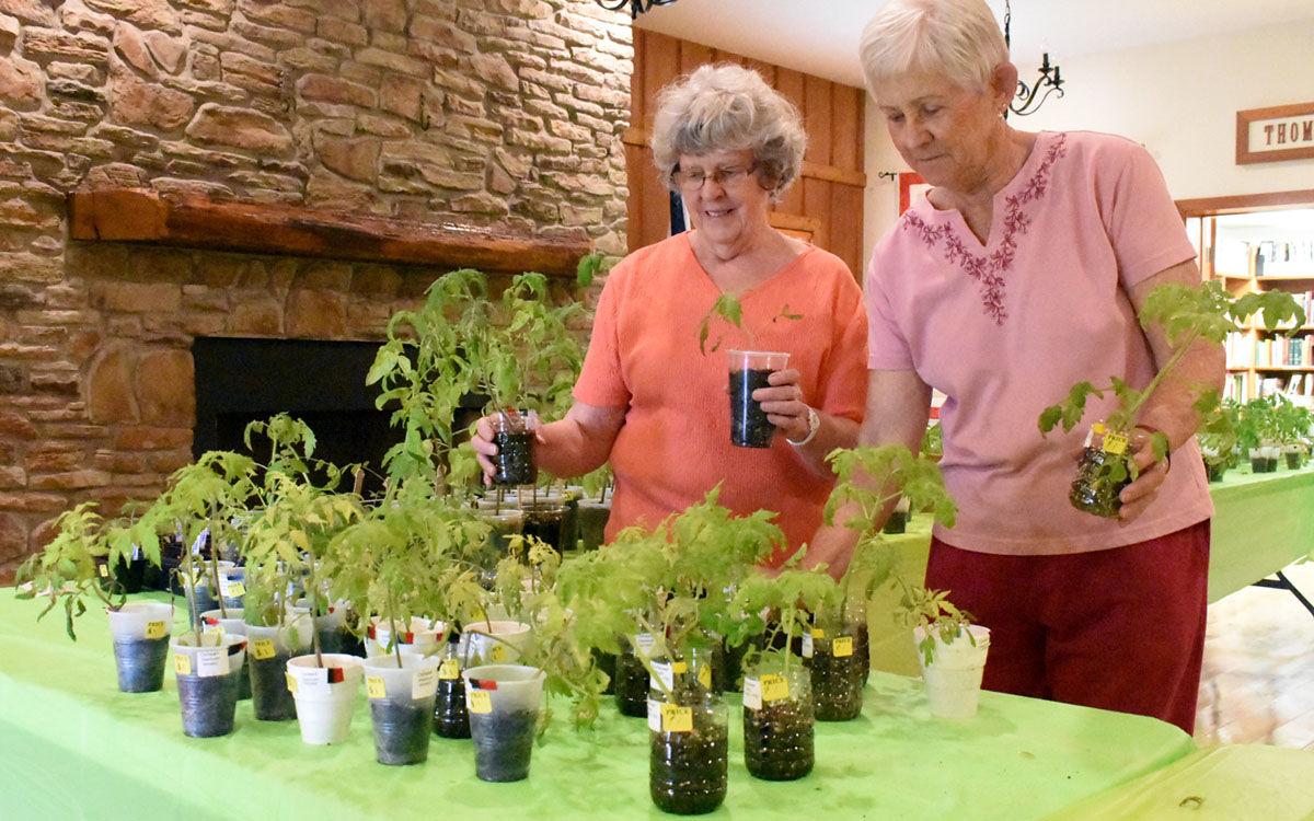 2 women sorting through containers of plants