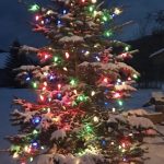 pine tree covered with snow and mixed colored lights