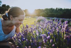 woman beside a lavender plant as the sun is setting