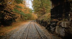 train tracks with fall leaves in the background