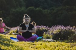 women sitting in meditation in a lavender field